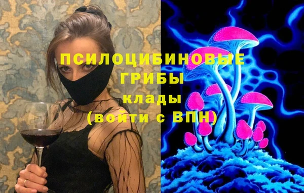 spice Алзамай
