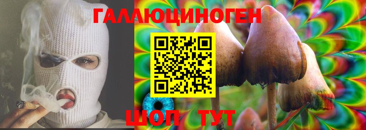 Галлюциногенные грибы мухоморы Тихвин